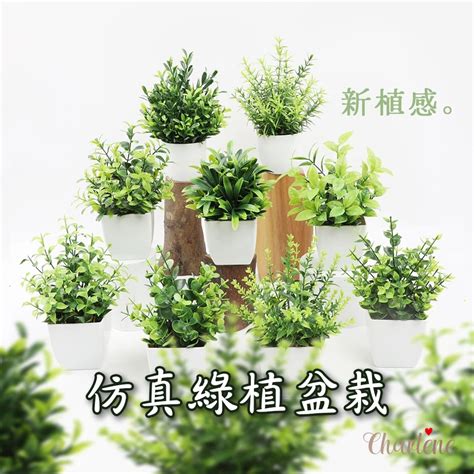 假植物|仿真植物｜優惠推